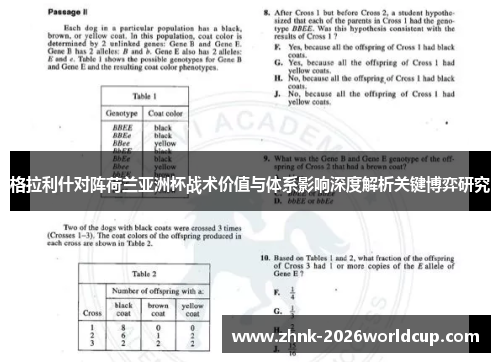 格拉利什对阵荷兰亚洲杯战术价值与体系影响深度解析关键博弈研究
